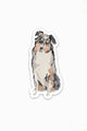 Australian Shephard Sticker