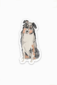 Australian Shephard Sticker