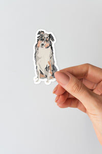 Australian Shephard Sticker