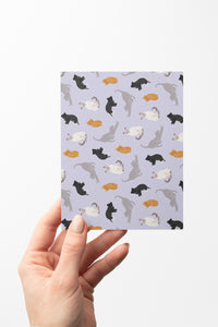 Cat Lover Flat Notes | 8 Boxed Notecards Stationery