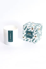 Load image into Gallery viewer, Celebrate (Balsam Fir + Pine / Christmas Tree) Coconut Soy Candle