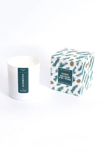 Celebrate (Balsam Fir + Pine / Christmas Tree) Coconut Soy Candle