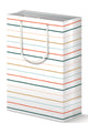 Colorful Stripes Gift Bag | Everyday or Holiday Gift