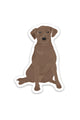 Chocolate Labrador Sticker