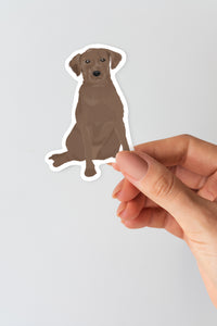 Chocolate Labrador Sticker