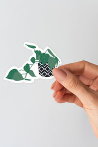 Plant 5 Sticker