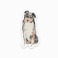 Australian Shephard Sticker