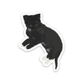 Black Cat Kitten Sticker