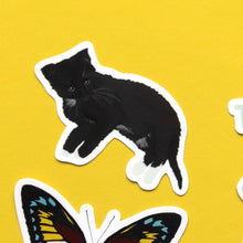 Load image into Gallery viewer, Black Cat Kitten Sticker