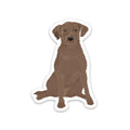 Chocolate Labrador Sticker